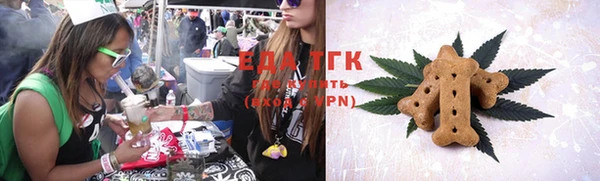 гашик Майский