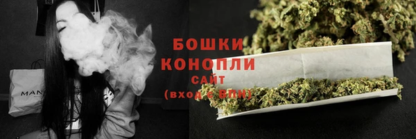 гашик Майский