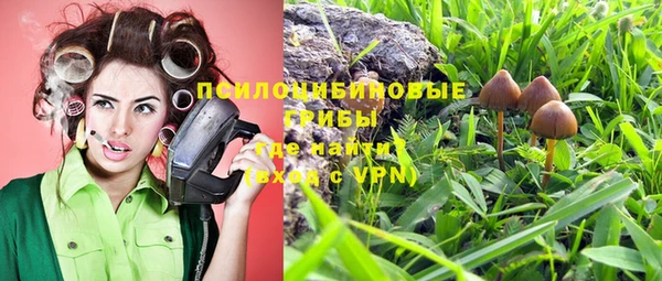 гашик Майский