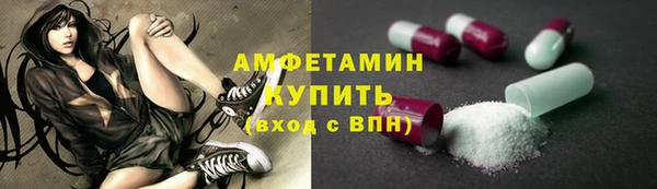 гашик Майский