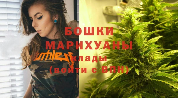 гашик Майский