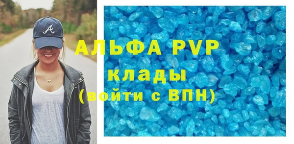 гашик Майский